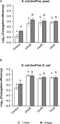 Isolation and Analysis of Donor Chromosomal Genes Whose Deficiency Is Responsible for Accelerating Bacterial and Trans-Kingdom Conjugations by IncP1 T4SS Machinery